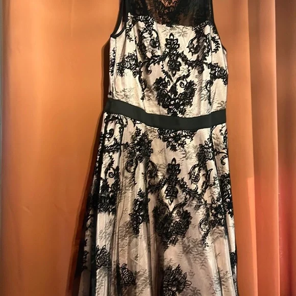 knee length dresses for ladies Black Lace Sleeveless Midi Dress main image 0